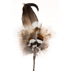 Piume Eleganti per Cappelli Tirolesi