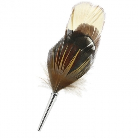 piume con vasetto per il cappello