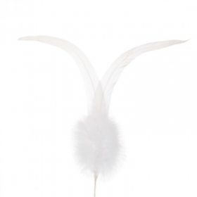 Eleganti piume di gallo bianche in un set di 2 pezzi