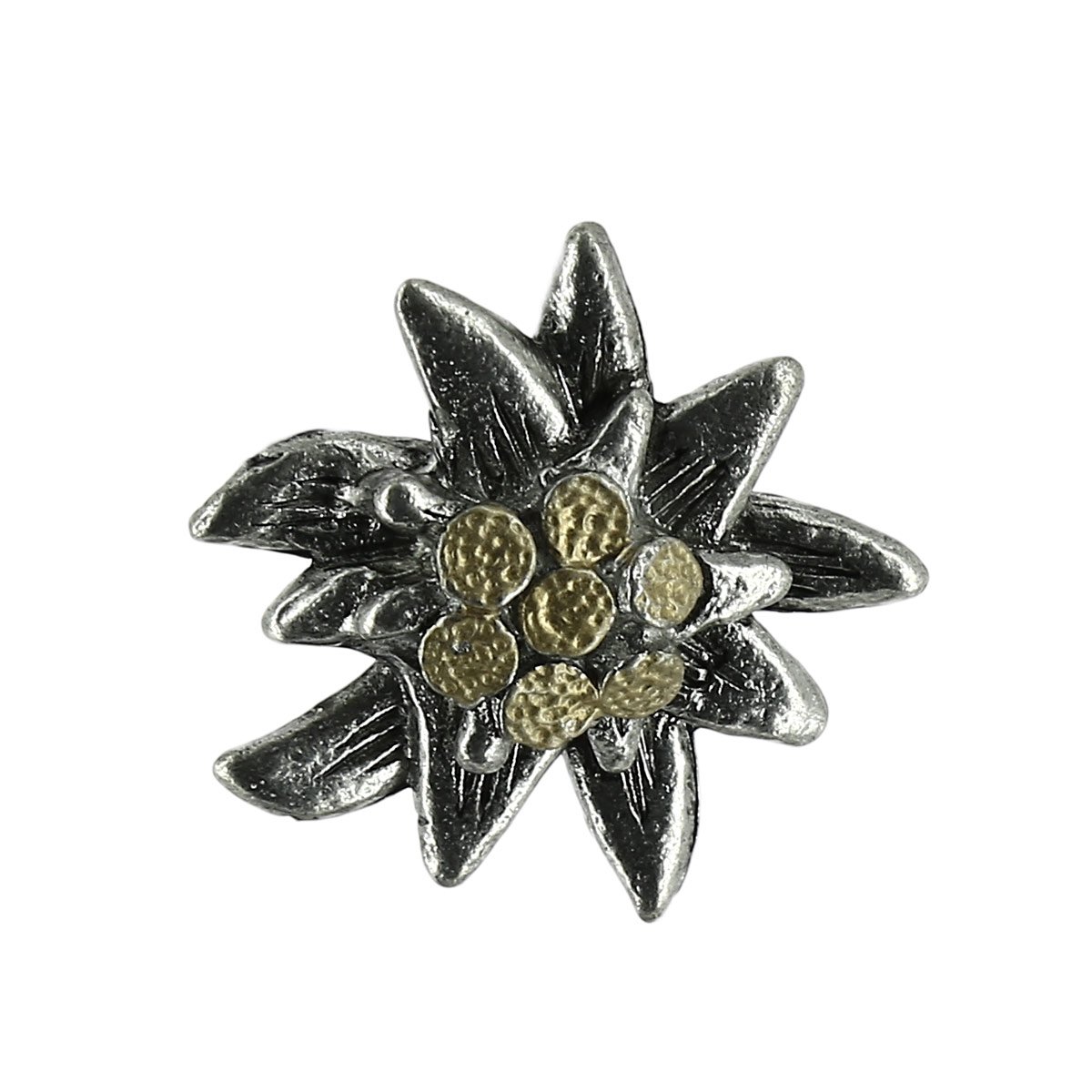 Splendida stella alpina: ideale anche come articolo da regalo