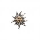 Spillo Edelweiss di medie dimensioni - Fiore tipico dell'Alto Adige al campione