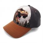 MAXIMO | KIDS Berretto da ragazzo T-Rex in misto cotone antracite