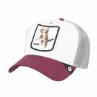 GOORIN | Motivo: MIGRAZIONE OOPS Berretto con visiera argento