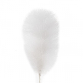 Cespuglio soffice bianco Eleganza elegante 25 cm